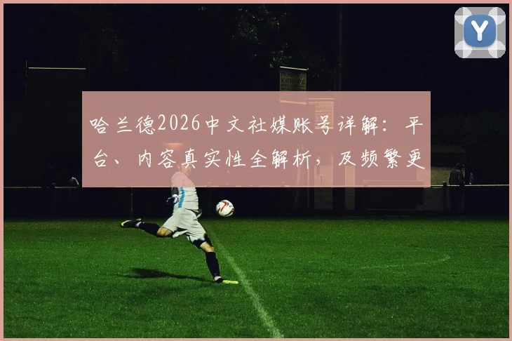 哈兰德2026中文社媒账号详解:平台、内容真实性全解析,及频繁更新背后对球迷的真正意义